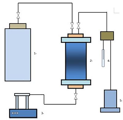 Mathematical Characterization of Inorganic Salt Precipitation From the Reaction of CO2 With Formation Brine and Its Application